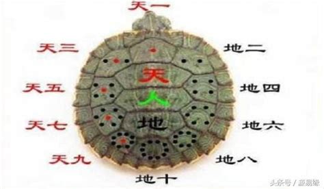 大衍之數五十|本義：大衍之數五十，蓋以河圖中宮天五乘地